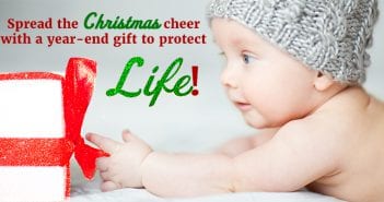 Spread The Christmas Cheer!