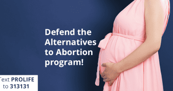 Alert! Pro-Abortion Rep. Trying to Cut Alternatives to Abortion
