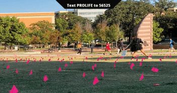 Pro-Life memorial display at the University of North Texas vandalized, flags stolen
